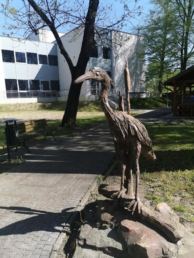Zakatek *